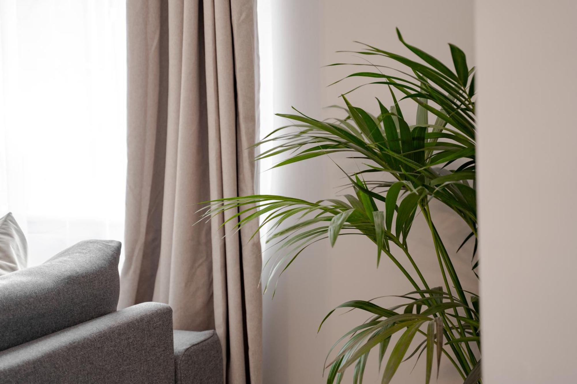 Stylish & Recently Refurbished Chester Apartment - Up To 6 外观 照片